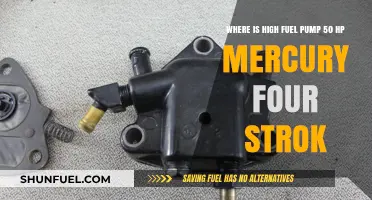 Locating the High-Performance 50 HP Mercury Four-Stroke Fuel Pump