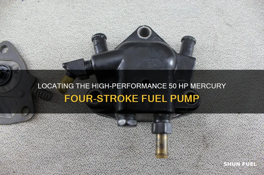 where is high fuel pump 50 hp mercury four stroke