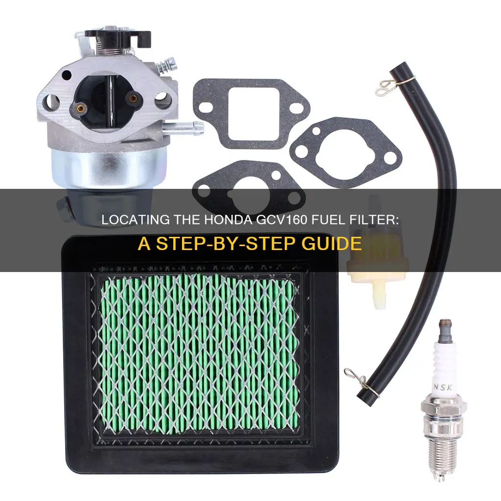 where is honda gcv160 fuel filter