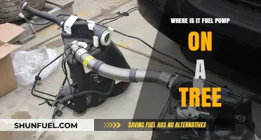 Where to Find the Fuel Pump on a Tree: A Guide
