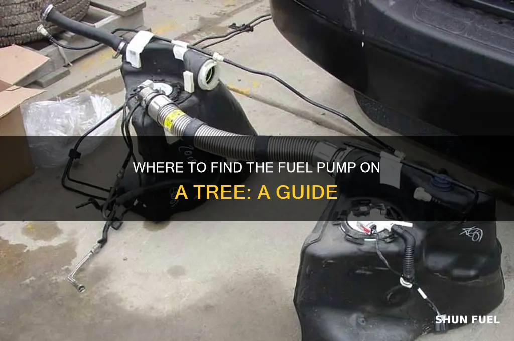 where is it fuel pump on a tree