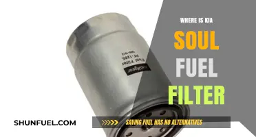 Kia Soul Fuel Filter: Location and Access Guide