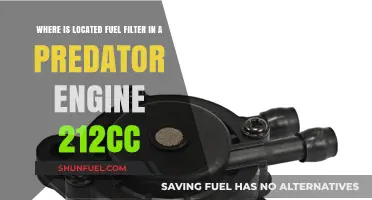 Fuel Filter Location in a Predator 212cc Engine