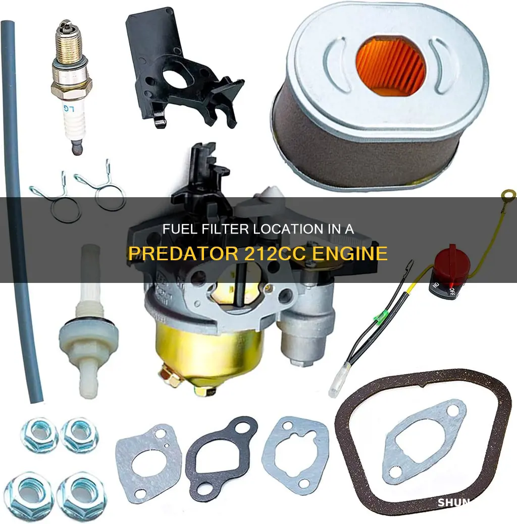 where is located fuel filter in a predator engine 212cc
