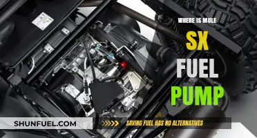 Locate Your Mule SX Fuel Pump: A Quick Guide