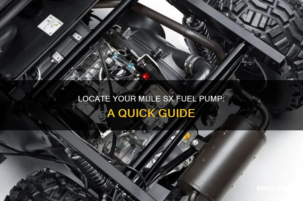 where is mule sx fuel pump