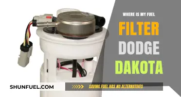 Locating the Fuel Filter in Your Dodge Dakota