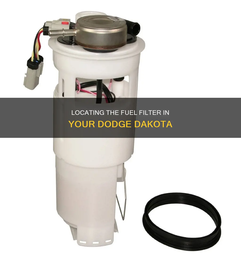 where is my fuel filter dodge dakota