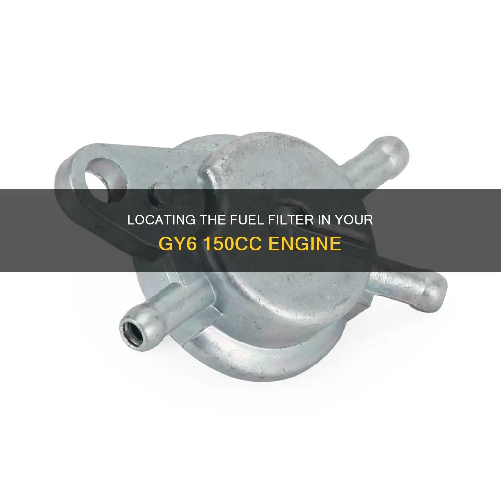 where is my fuel filter gy6 150cc