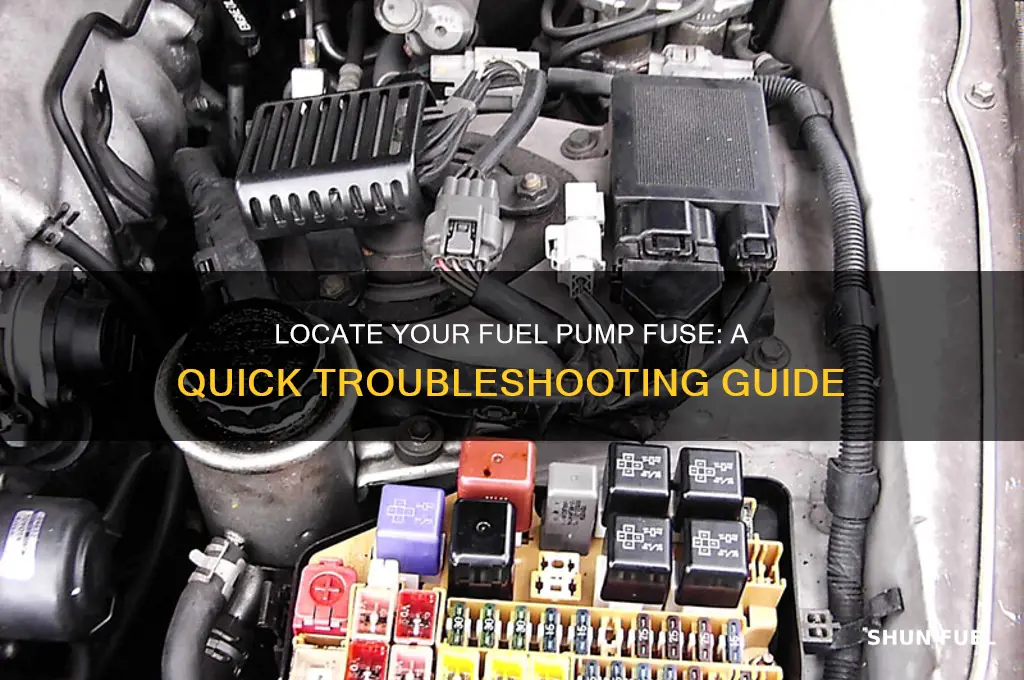 where is my fuel pump fuse