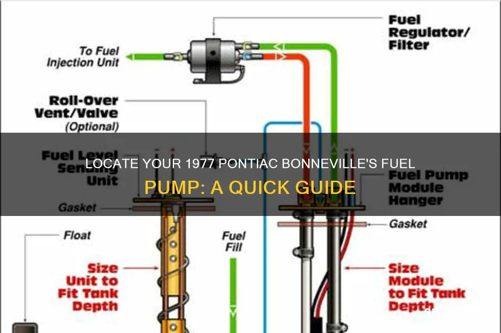 where is my fuel pump on my 1977 pontiac bonneville