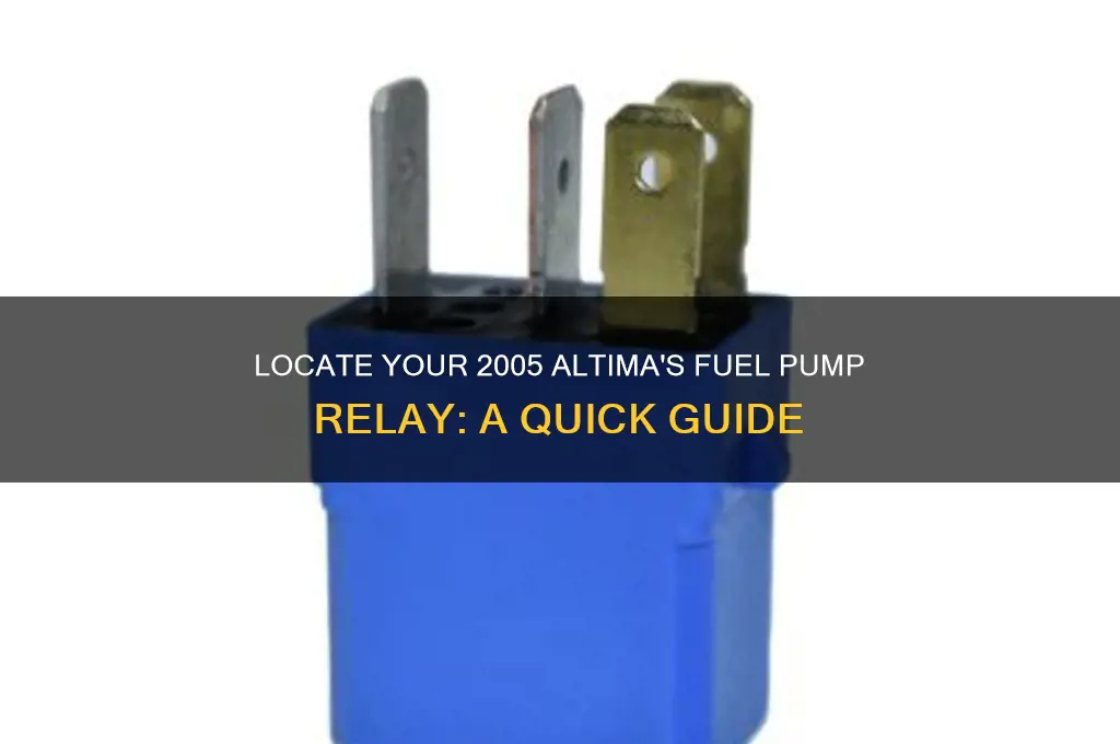 where is my fuel pump relay on 2005 altim located