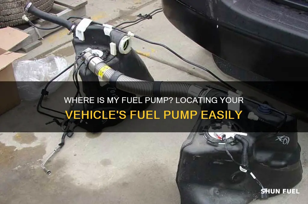 where is my fuel pump