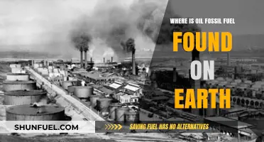 Exploring Earth's Oil Reserves: Where Fossil Fuels Are Discovered