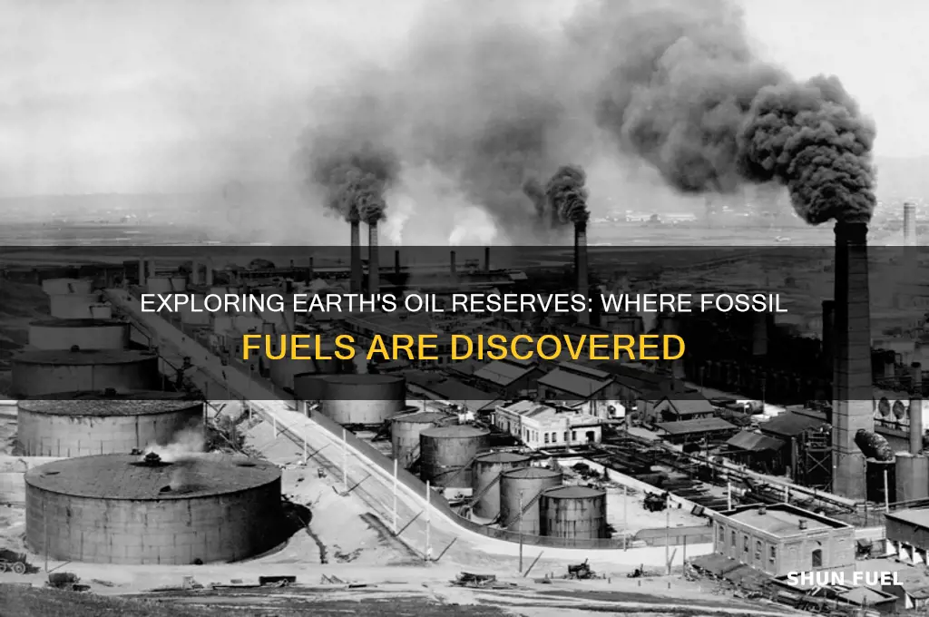 where is oil fossil fuel found on earth