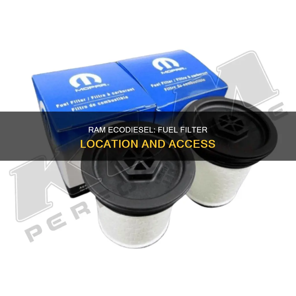where is ram ecodiesel fuel filter located