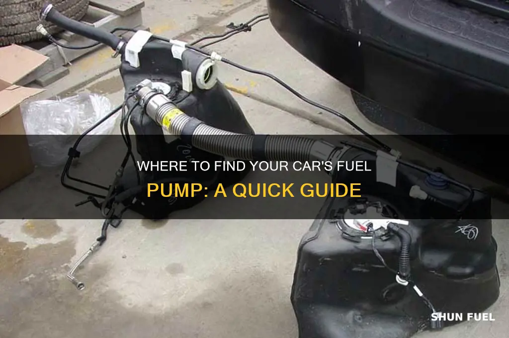 where is rhe fuel pump located