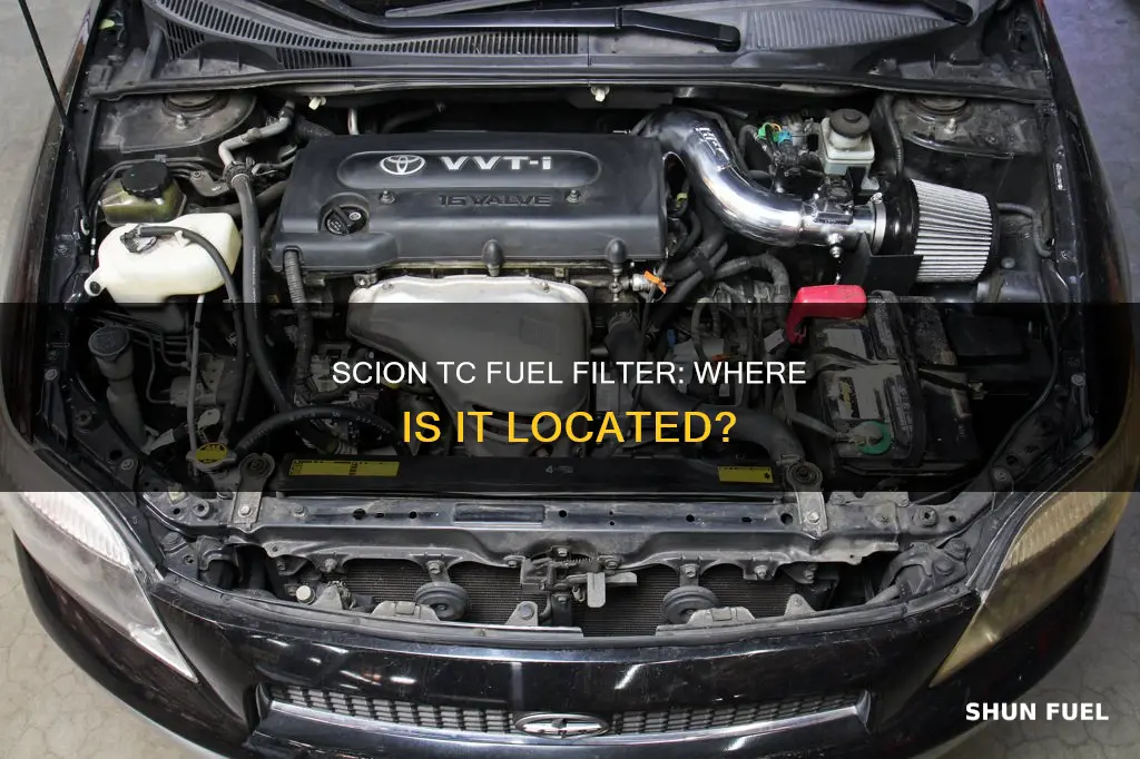 where is scion tc fuel filter