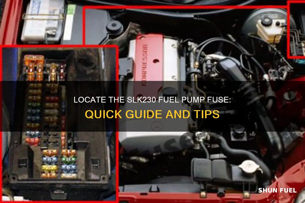 where is slk230 fuel pump fuse