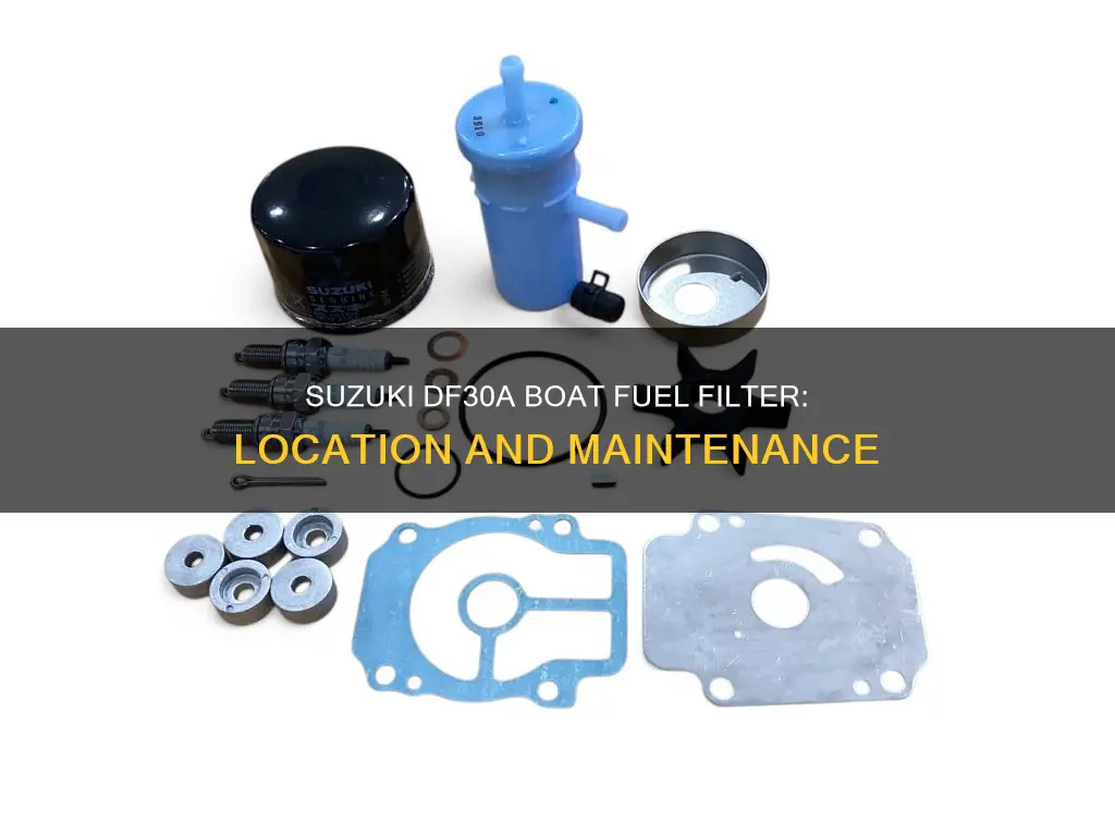 where is suzuki df30a boat fuel filter