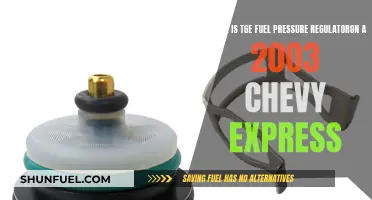 Finding the Fuel Pressure Regulator in 2003 Chevy Express Vans