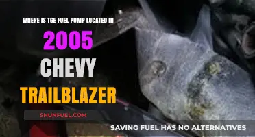 Finding the Fuel Pump in a 2005 Chevy Trailblazer