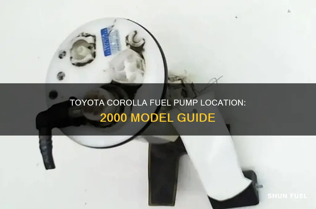 where is the 2000 toyota corolla fuel pump located