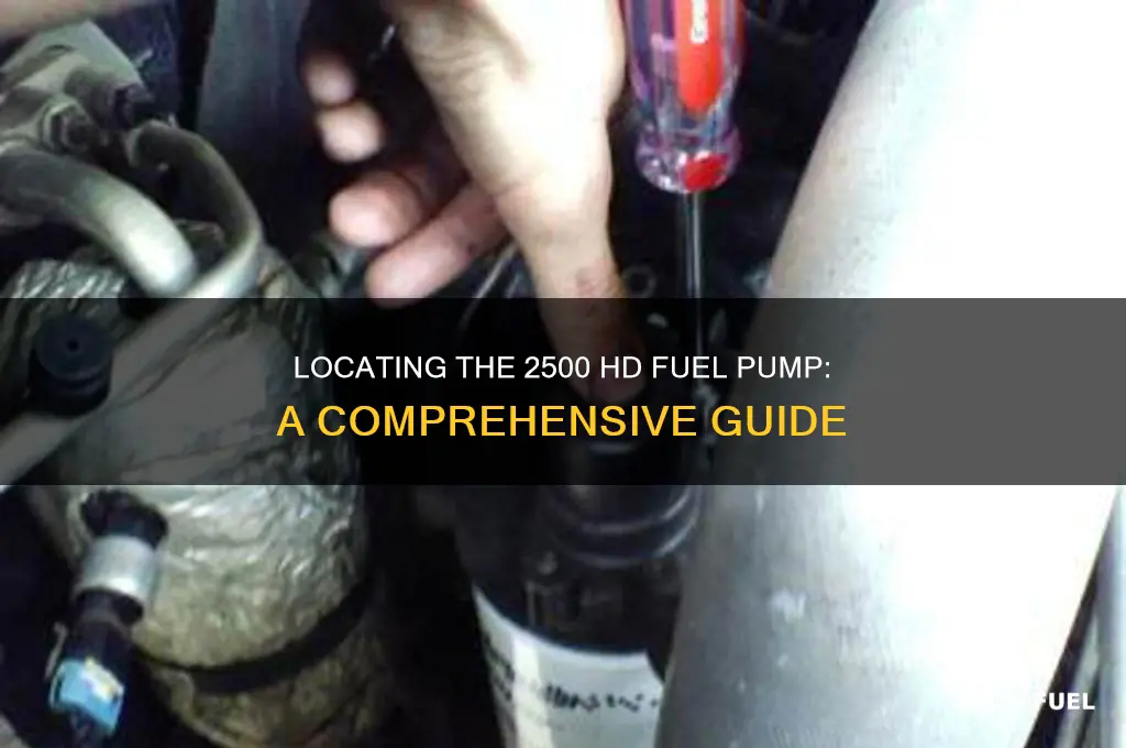 where is the 2500 hd fuel pump
