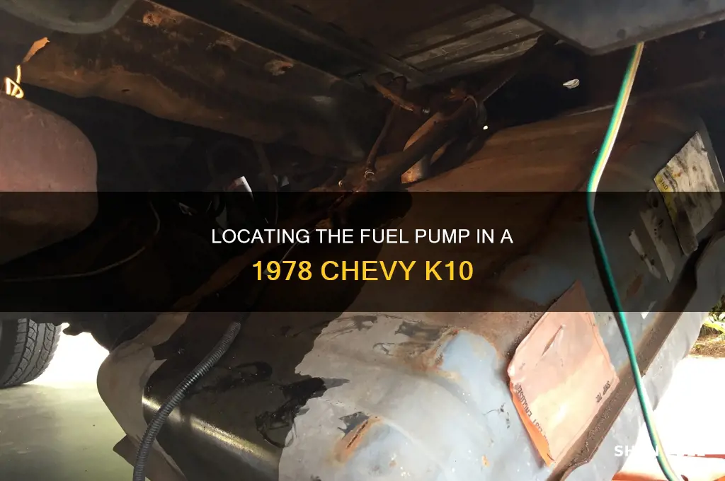 where is the 78 chevy k10 fuel pump