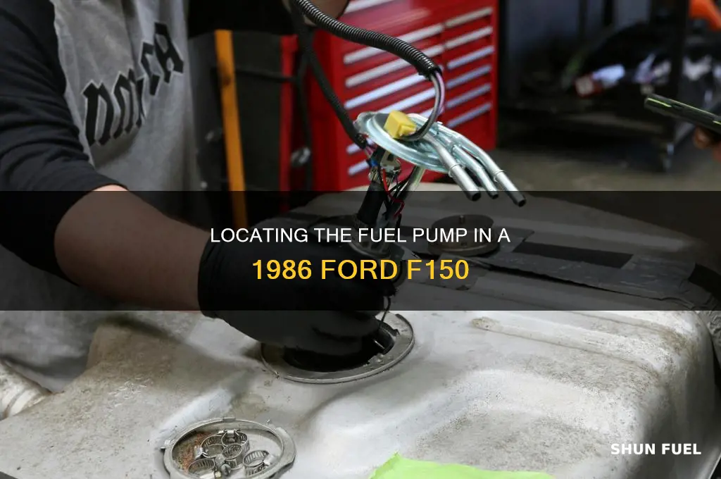 where is the 86 ford f150 fuel pump