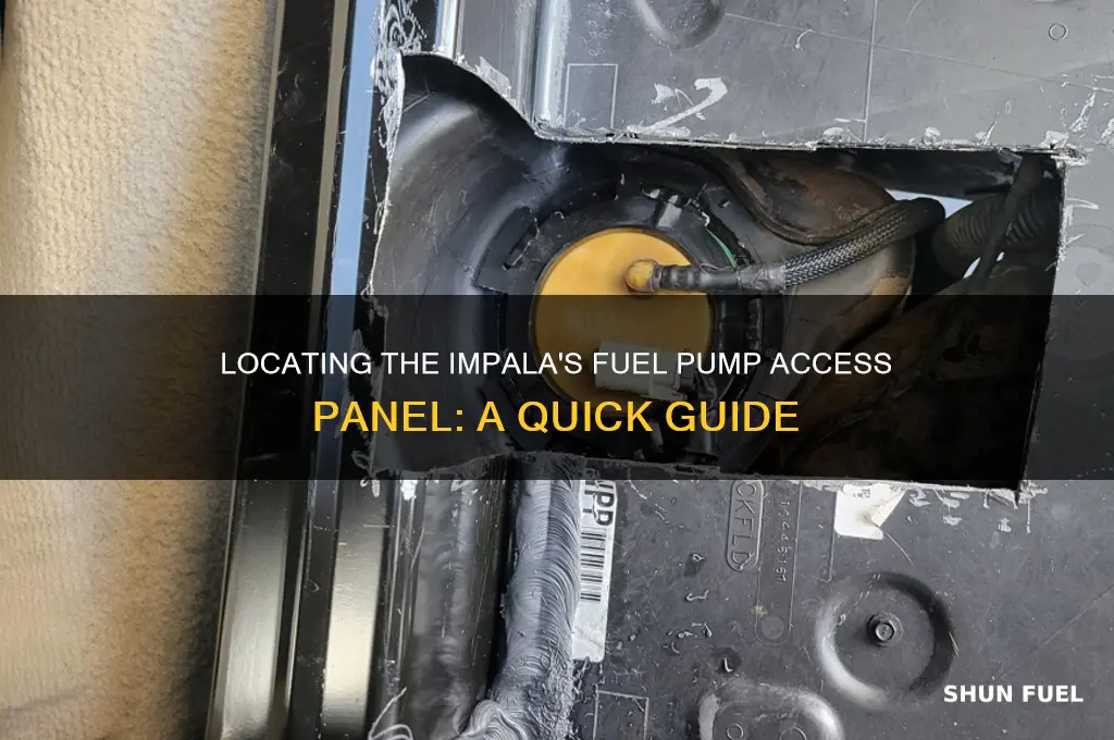 where is the access panel for fuel pump on impala
