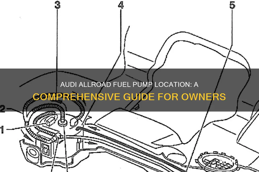 where is the audiallroad fuel pump located