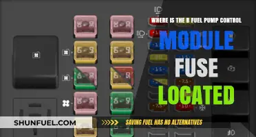 Locate Your B Fuel Pump Control Module Fuse Easily