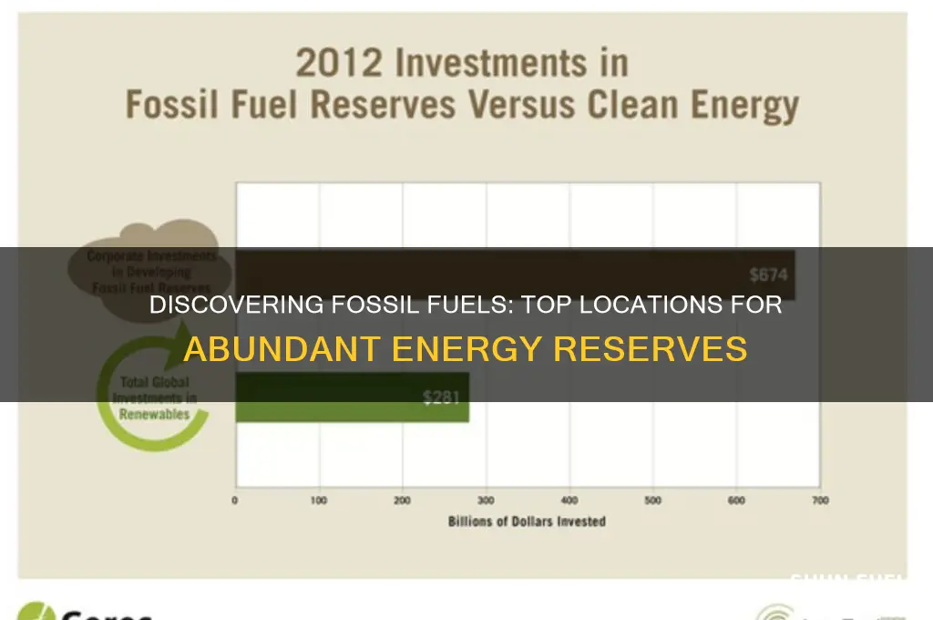 where is the best place to find fossil fuels