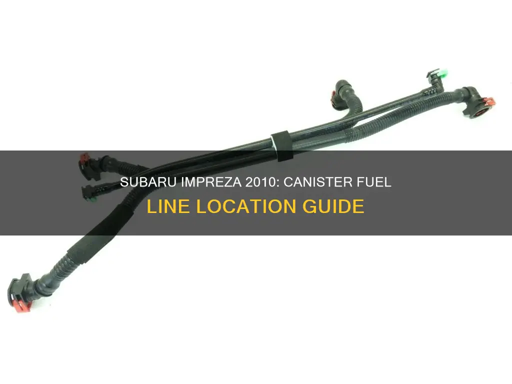 where is the canister fuel line on 2010 subaru impreza