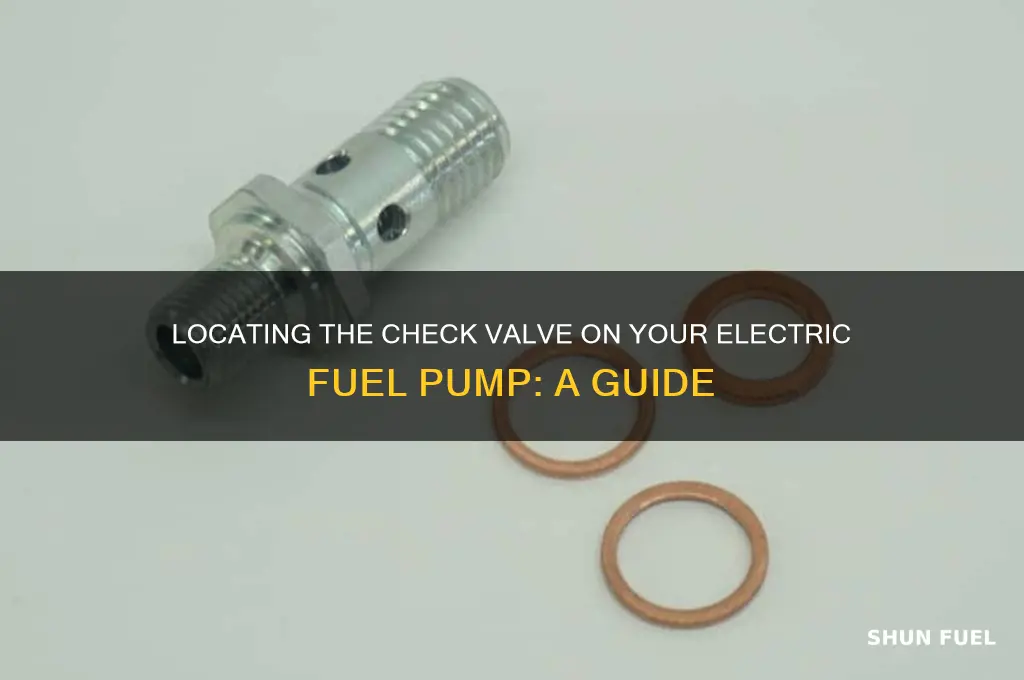where is the check valve on an electric fuel pump