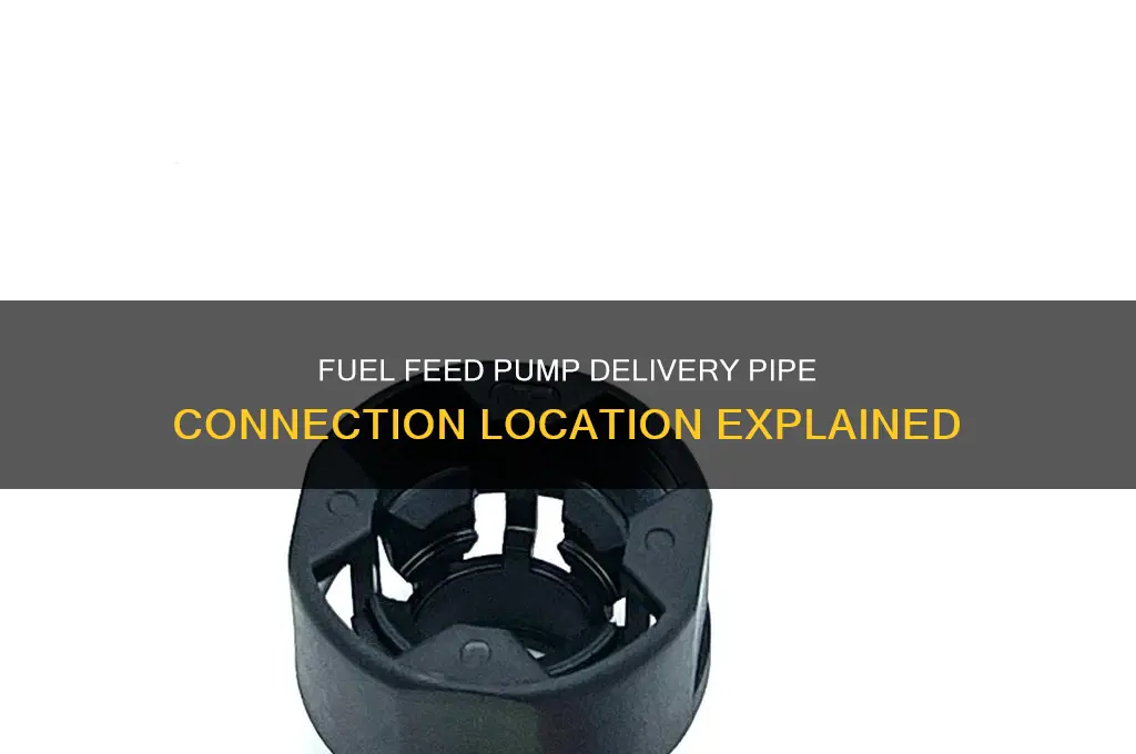 where is the delivery pipe of fuel feed pump connected