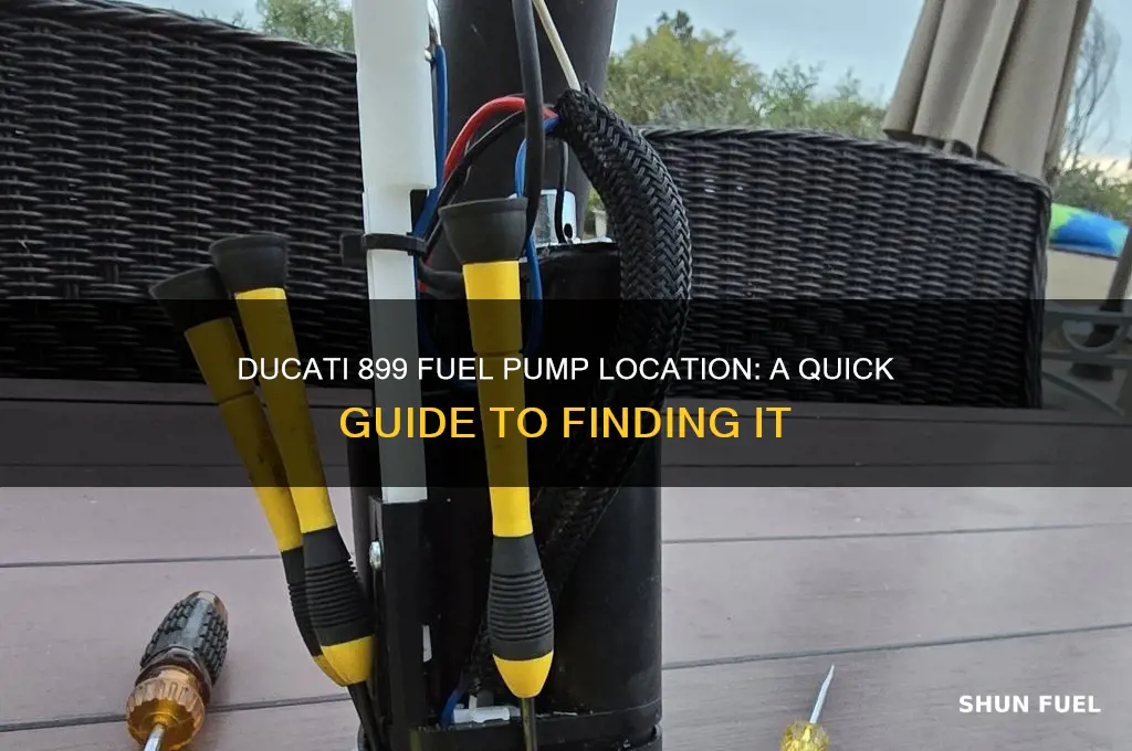 where is the ducati 899 fuel pump located