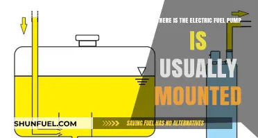 Where is the Electric Fuel Pump Typically Mounted in Vehicles?