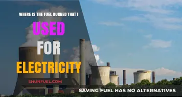 Tracing Your Electricity: Where and How Your Fuel is Burned