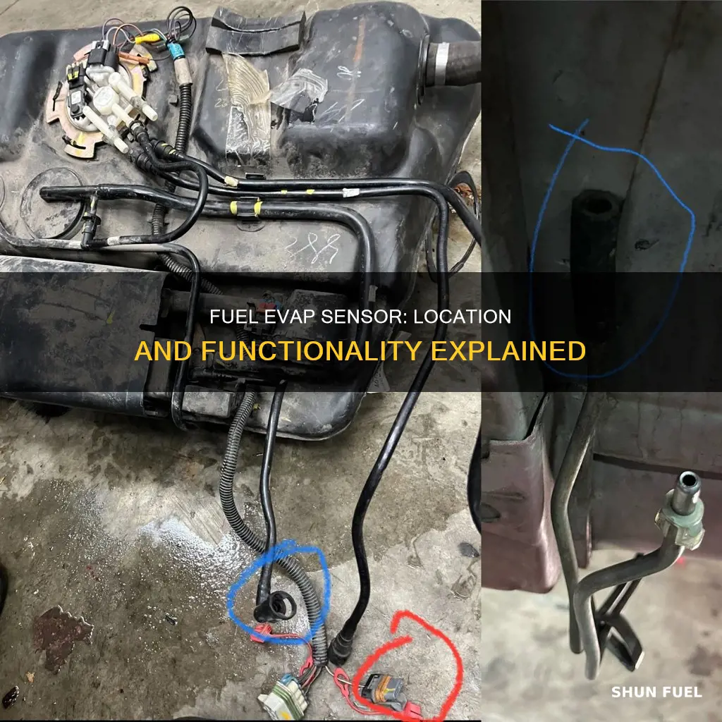 where is the fuel evap pressure sensor located