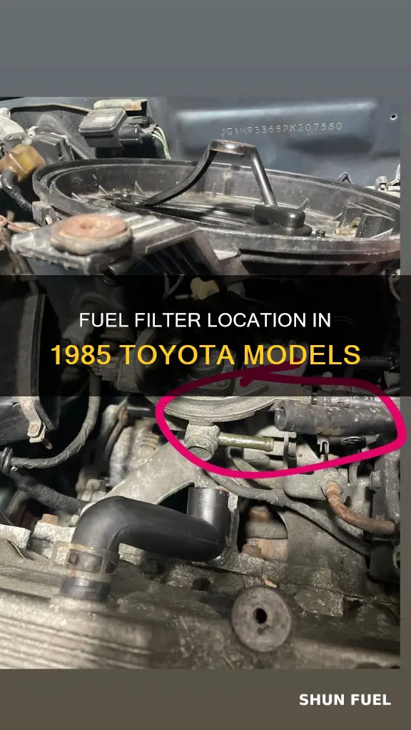 where is the fuel filter 1985 toyota