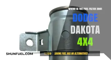 Finding Fuel Filter Location in 2001 Dodge Dakota 4x4