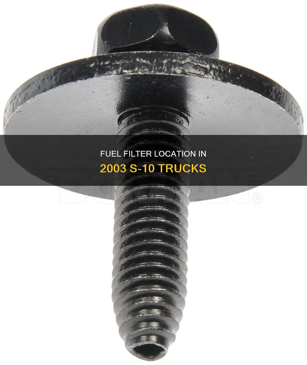 where is the fuel filter 2003 s-10