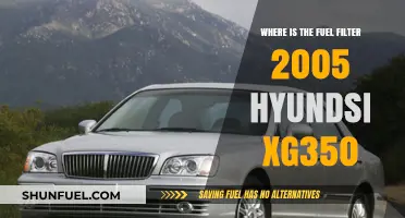 Fuel Filter Location for 2005 Hyundai XG350