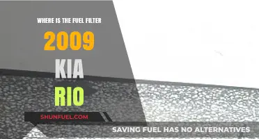 Kia Rio Fuel Filter: Location and Access Guide
