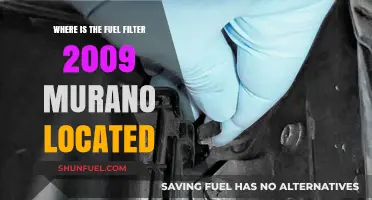 Locating the Fuel Filter in a 2009 Murano