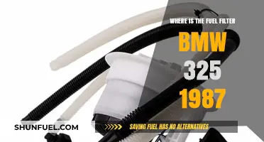 BMW 325 (1987): Locating the Fuel Filter