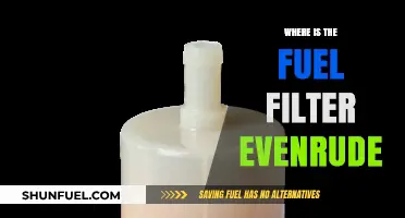 Everude's Fuel Filter: Where is it Located?