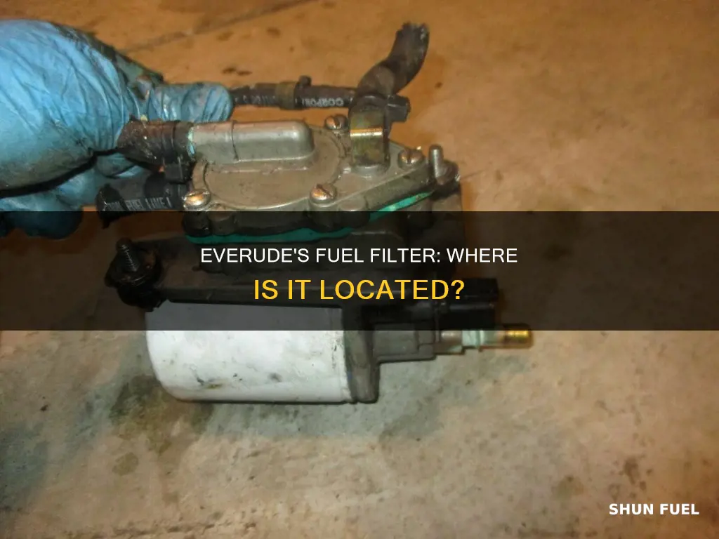 where is the fuel filter evenrude